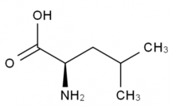 H-D-Leu-OH  CAS號(hào)：328-38-1